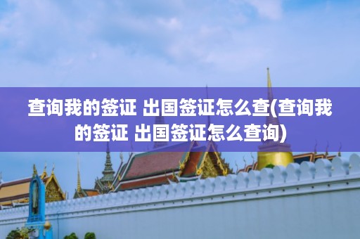 查询我的签证 出国签证怎么查(查询我的签证 出国签证怎么查询)