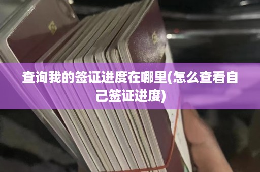 查询我的签证进度在哪里(怎么查看自己签证进度)