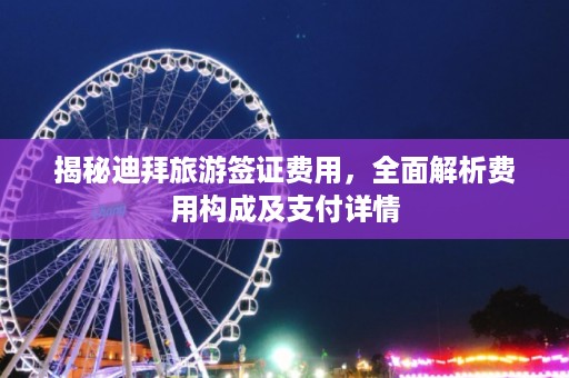 揭秘迪拜旅游签证费用，全面解析费用构成及支付详情