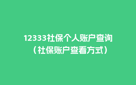 12333社保个人账户查询（社保账户查看方式）