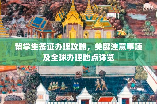 留学生签证办理攻略，关键注意事项及全球办理地点详览