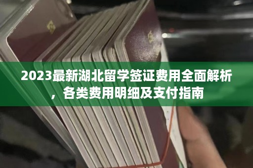 2025最新湖北留学签证费用全面解析，各类费用明细及支付指南