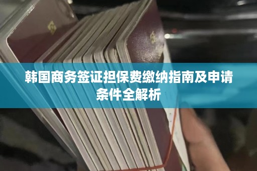 韩国商务签证担保费缴纳指南及申请条件全解析