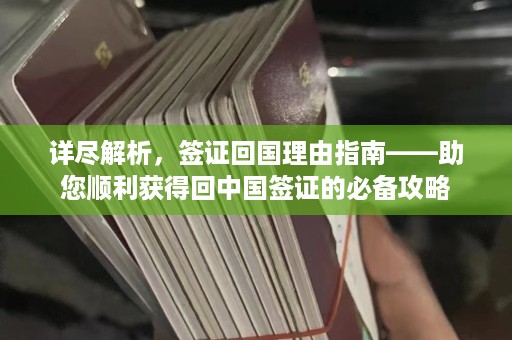 详尽解析，签证回国理由指南——助您顺利获得回中国签证的必备攻略