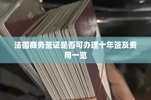 法国商务签证是否可办理十年签及费用一览