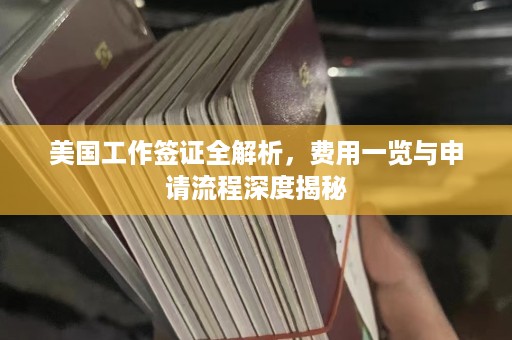 美国工作签证全解析，费用一览与申请流程深度揭秘