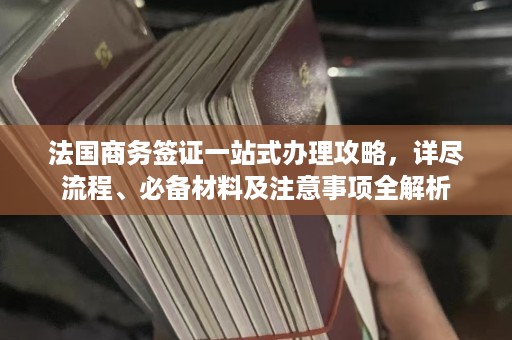 法国商务签证一站式办理攻略，详尽流程、必备材料及注意事项全解析