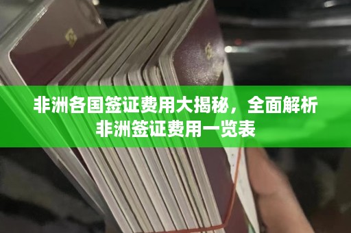 非洲各国签证费用大揭秘，全面解析非洲签证费用一览表