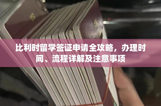 比利时留学签证申请全攻略，办理时间、流程详解及注意事项