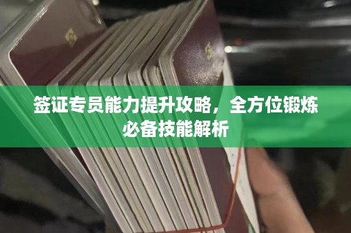 签证专员能力提升攻略，全方位锻炼必备技能解析