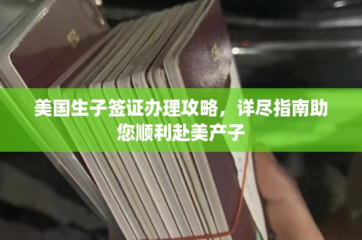 美国生子签证办理攻略，详尽指南助您顺利赴美产子